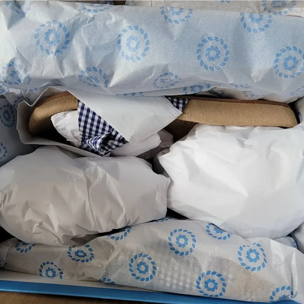 Jack Rogers Dorothy Bow Comfort Slide in Blue and White Gingham